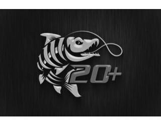 20+ logo
