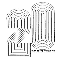 20 MULE TEAM logo