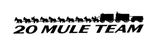 20 MULE TEAM logo