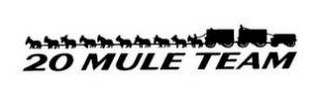 20 MULE TEAM logo