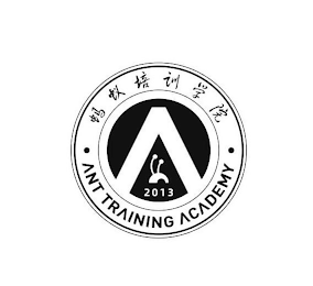 2013 · ANT TRAINING ACADEMY · logo