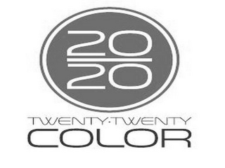 20/20 TWENTY TWENTY COLOR logo