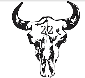 22 logo