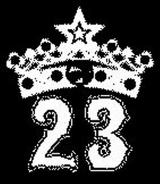 23 logo
