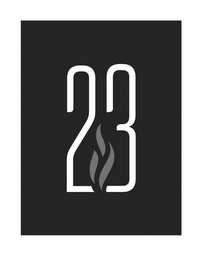 23 logo
