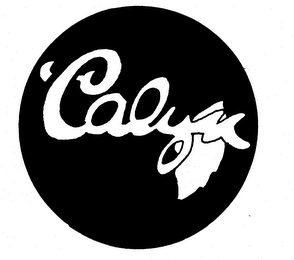 23LYX logo