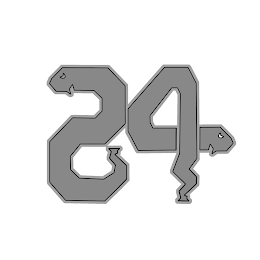 24 logo