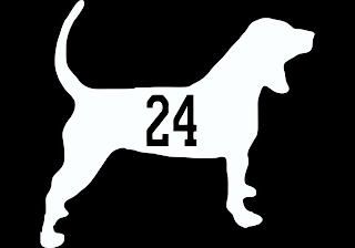 24 logo
