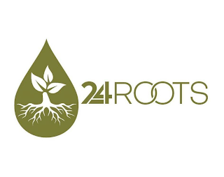 24 ROOTS logo