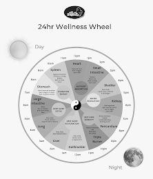 24HR WELLNESS WHEEL SILKIE DAY NIGHT 12PM 1PM 2PM 3PM 4PM 5PM 6PM 7PM 8PM 9PM 10PM 11PM HEART BALANCED LUNCH REST & DIGEST SHORT WALK SMALL INTESTINE HYDRATE POWER NAP WORK OR STUDY FRUIT SNACK BLADDER DRINK FLUIDS LIQUID WASTE COLLECTED & DISCHARGED KIDNEY FLUID REGULATION LIGHT BALANCED DINNER REST & DIGEST SHORT WALK MENTAL RELAXATION SHOWER SOCIALIZE/BONDING SOOTHING MUSIC PERICARDIUM TRIPLE BURNER PHYSICAL RELAXATION SEX WIND DOWN GET SLEEPY GALLBLADDER DEEP SLEEP CELLULAR REPAIR & REGENERATION LIVER DEEP SLEEP BLOOD DETOXIFICATION LUNG DEEP SLEEP MUSCUS REMOVAL SUPPORT BRAIN & MEMORY LARGE INTESTINE WAKE SEX OR EXCERCISE DRINK WARM FLUIDS POOP STOMACH WARM BALANCED BREAKFAST REST & DIGEST 15-30 MIN WALK OR GENTLE EXCERCISE SPLEEN DIGESTED BREAKFAST CONVERTS TO ENERGY HYDRATE WORK OR STUDY SNACK NUTRIENT ABSORPTION WATER REGULATION SELF CARE SERENITY DEEP SLEEP RESTORATION DEEP SLEEP DETOX DIGESTION ENERGY logo