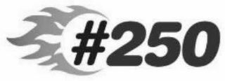 #250 logo