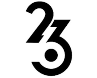 263 logo