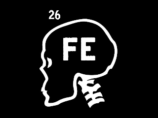 26FE logo