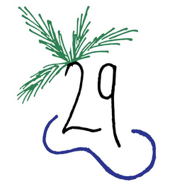 29 logo