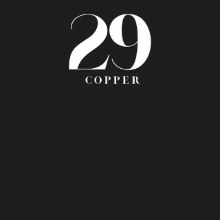 29 COPPER logo