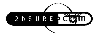 2BSURE.COM logo