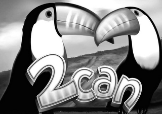 2CAN logo