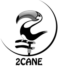2CANE logo