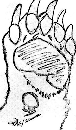 2ND logo