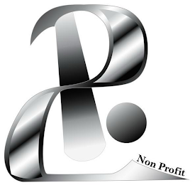 2PO NON PROFIT logo