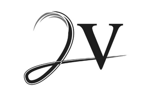2V logo