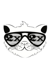 2X 2X logo
