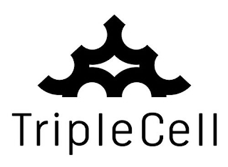 3 3 3 TRIPLECELL logo