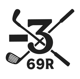 -3 69R logo