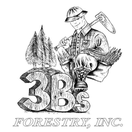 3 B'S FORESTRY, INC. logo