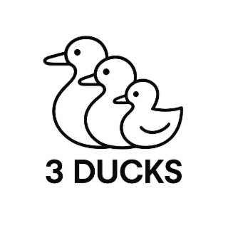 3 DUCKS logo