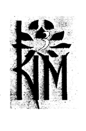 3 KIM logo