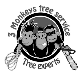 3 MONKEYS TREE SERVICE TREE EXPERTS logo