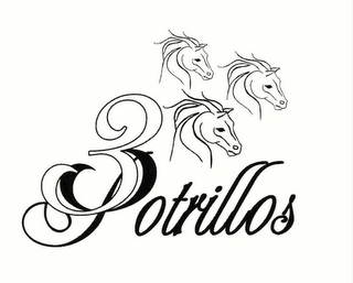 3 POTRILLOS logo