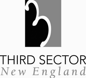 3 THIRD SECTOR NEW ENGLAND logo
