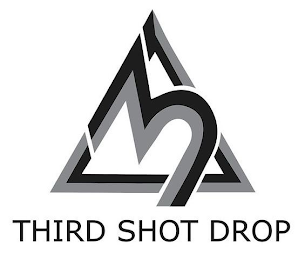 3 THIRD SHOT DROP logo