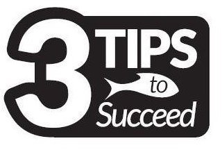 3 TIPS TO SUCCEED logo