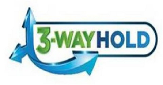 3-WAY HOLD logo