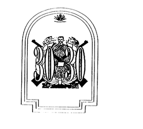 30-30 logo