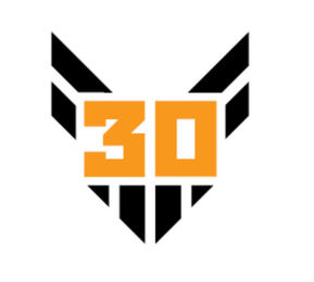 30 logo