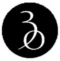 30 logo