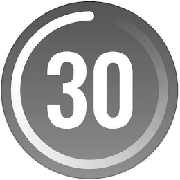 30 logo