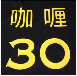 30 logo