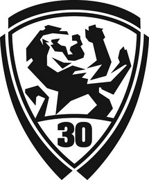 30 logo