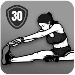 30 logo