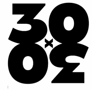 30 X 30 logo