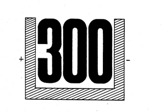 300 logo