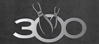 300 logo