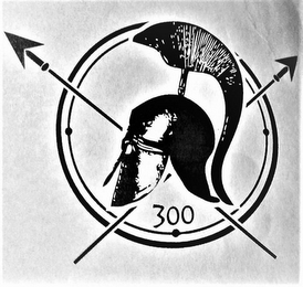 300 logo