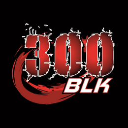 300 BLK logo