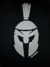 300 MINDSET logo